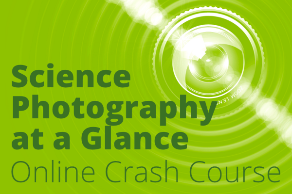 Science Photography at a Glance